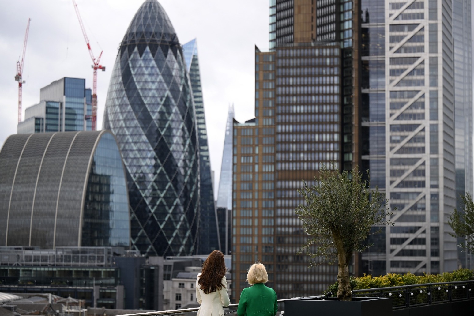 We must work with farmers and others to help cut emissions – NatWest boss 