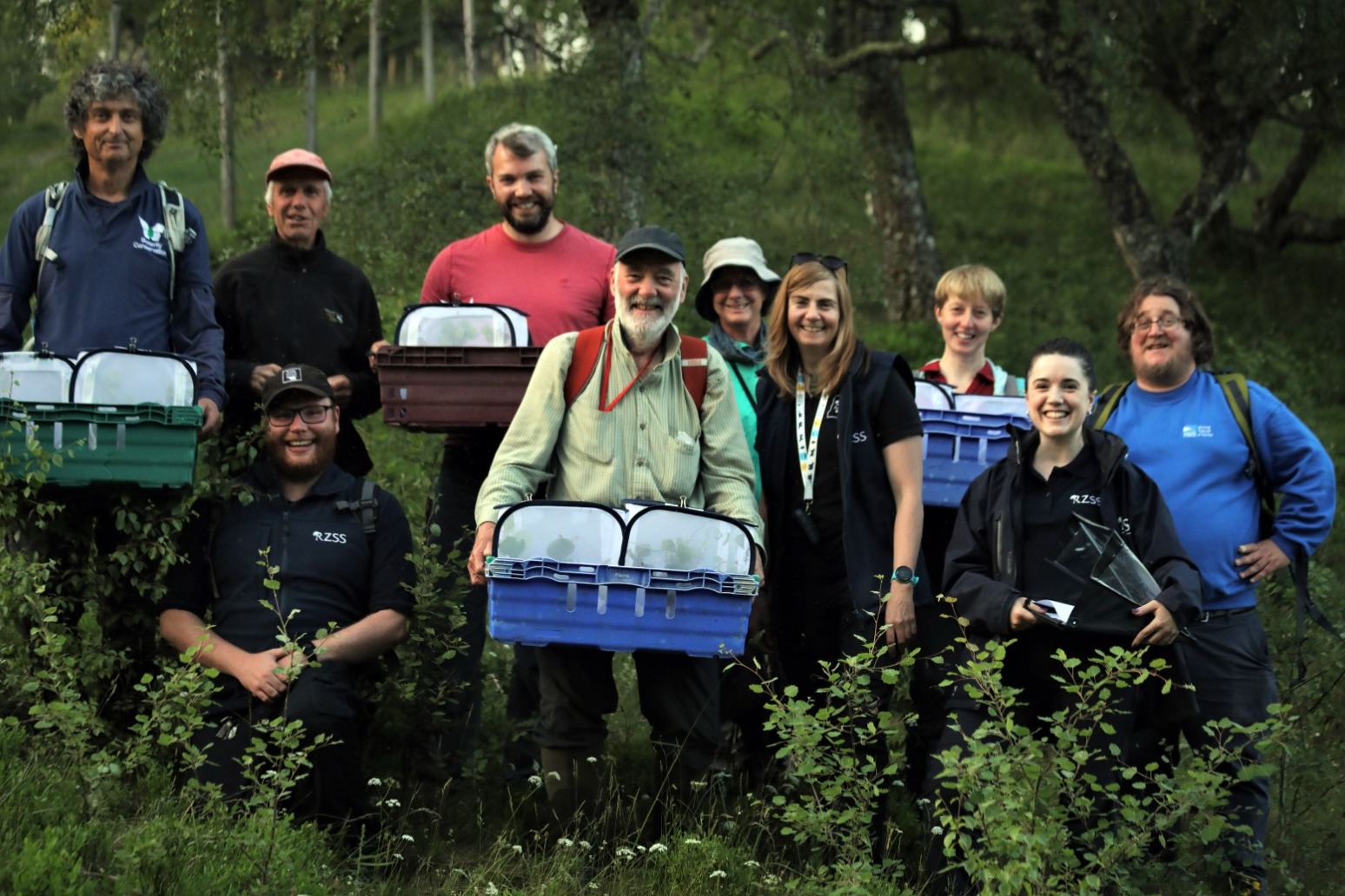 Rare moths released in Cairngorms to help threatened population 