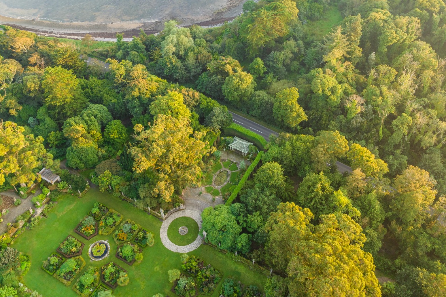 Twenty thousand trees planted thanks to Derbyshire residents